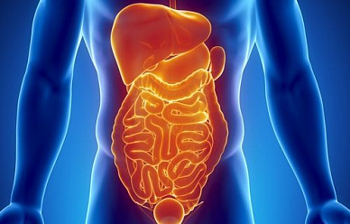 КТ грудной и брюшной полости, забрюшинного пространства в Волгограде ул. Пархоменко 1. 